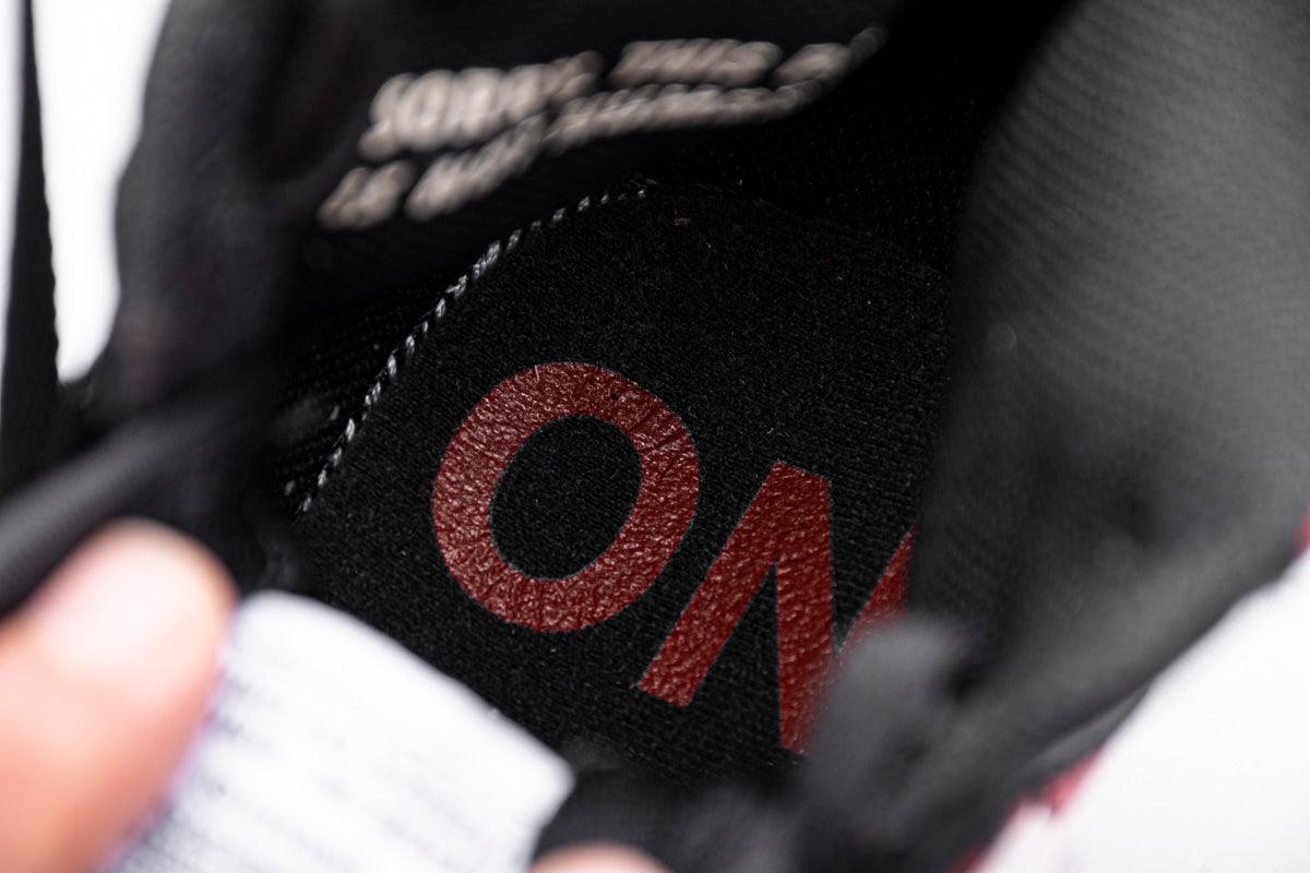AIR JORDAN 1 " NOT FOR RESALE " RED