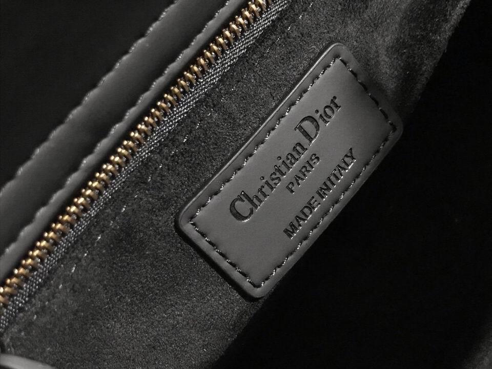 DIOR ULTRAMATTE BAG